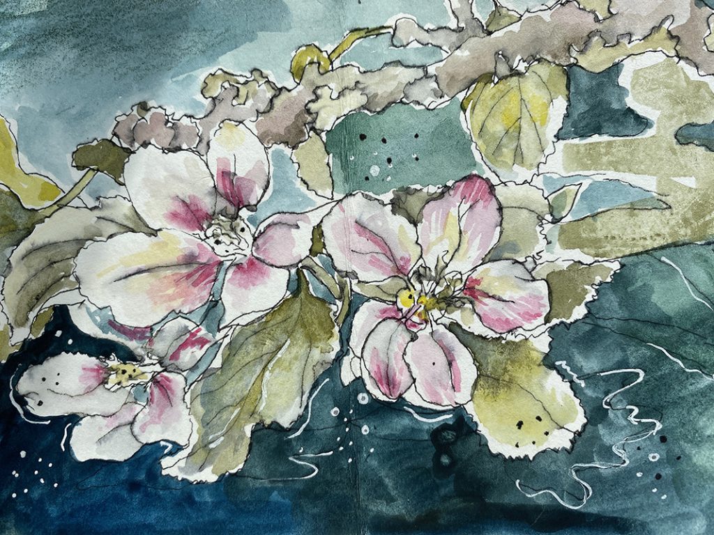 Florals in watercolour and pen