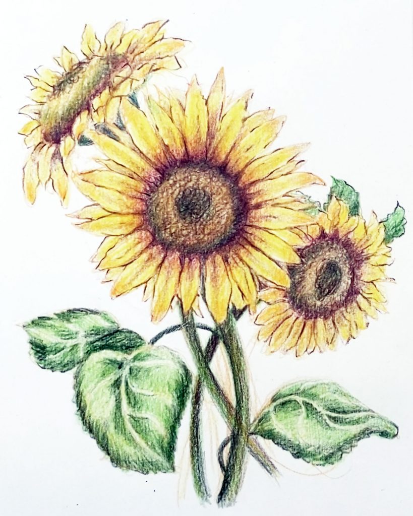 Sunflowers original design