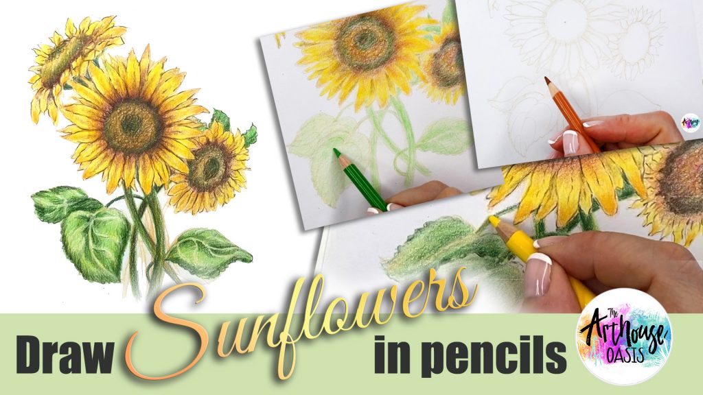 Draw Sunflowers in Pencil Youtube Thumbnail